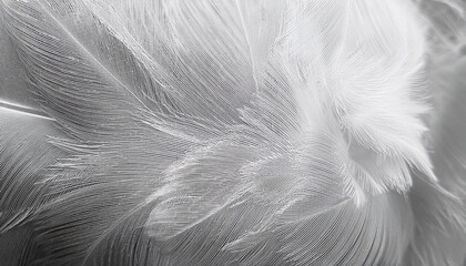 Feather pattern in close up and detailed for abstract background, part 97