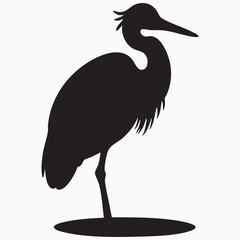 heron isolated on white silhouette