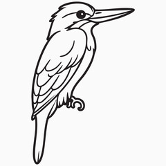 kingfisher isolated on white silhouette
