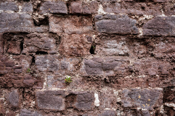 A wall made of stone with a rough texture. The wall is brown and white