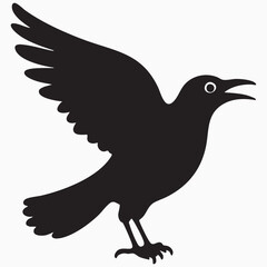 magpie isolated on white silhouette