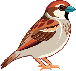  Sparrow bird vector image artwork illustration
