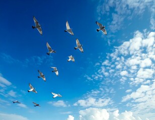 A flock of birds flying high in a brilliant blue sky with fluffy white clouds, symbolizing freedom and the beauty of nature.