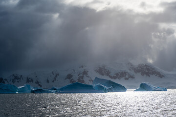 Giant icebergs along the route between Cuverville island and Portal Point, in the Gerlache Strait....