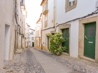 Street in the old town of Castelo de Vide-Portugal.
