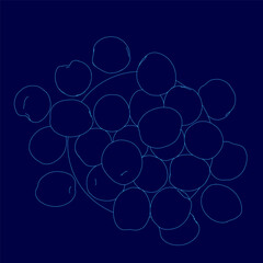 A blue background with many nectarines. The nectarines are arranged in a way that they look like they are overlapping each other
