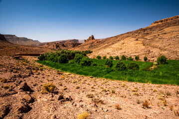 2024 03 15 Jebel Saghro Atlas oasis 106
