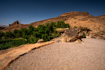 2024 03 15 Jebel Saghro Atlas oasis 110
