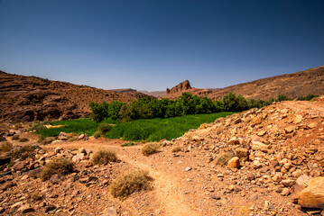 2024 03 15 Jebel Saghro Atlas oasis 114