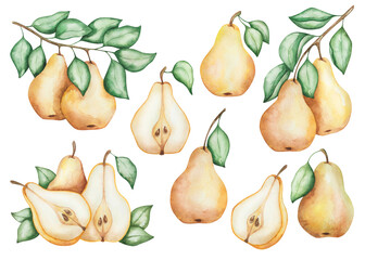 Watercolor illustration. Pear set. Hand painted yellow pears raw, ripe, with green leaves. Whole, cut in half fresh pears. Pear tree, plant. Sweet fruit. Food. Isolated nature clip art
