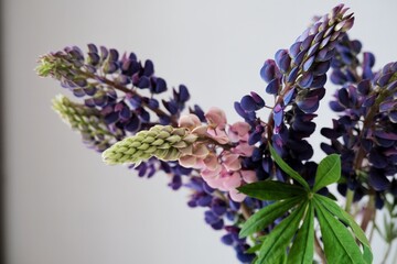 Fototapeta premium Bouquet of colourful spring flowers