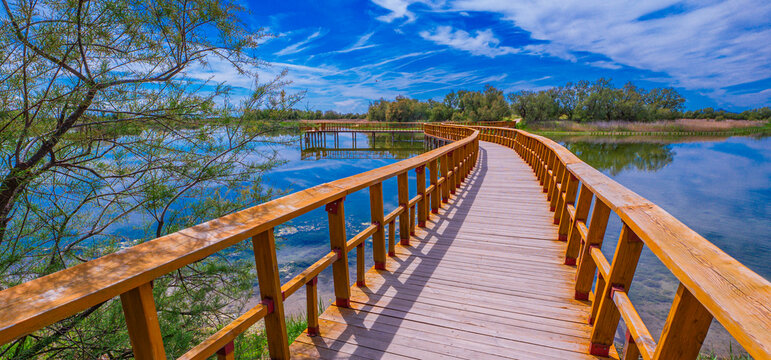 Tablas de Daimiel National Park, Daimiel, Ciudad Real, Castilla La Mancha, Spain, Europe