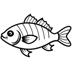 Mud sunfish isolated on white background