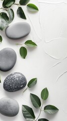 black rocks green leaves white background spa wellness tranquility web banner copy space