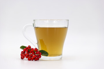 cup, glass, tea, drink, health, natural, infusion, background, i