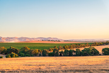 Barossa Valley grape and wheat farm fields with hills in the background, Tanunda, South Australia