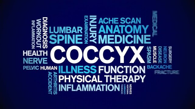 Coccyx animated word cloud;text design animation tag kinetic typography seamless loop.