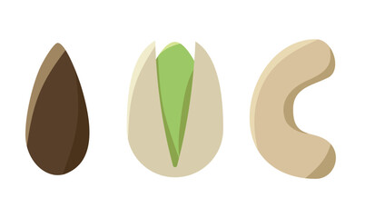 Nuts in flat design vector set of illustrations. Collection of nuts, seeds icons, infographic elements isolated on white background. Almond, Pistachio, Cashew