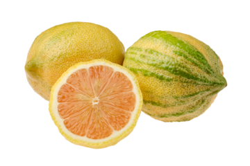 Unique striped variegated pink lemons showcasing vibrant color and distinct texture harvested fresh