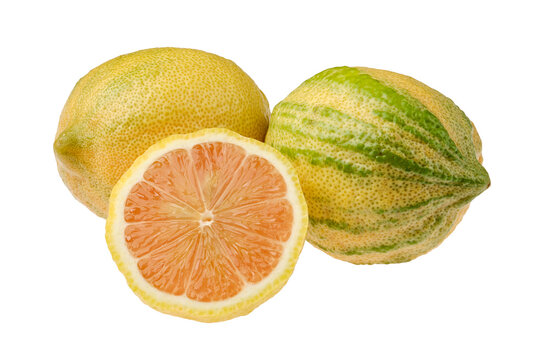 Unique striped variegated pink lemons showcasing vibrant color and distinct texture harvested fresh