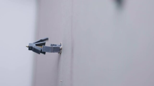 Side view of plasterboard with screwing plastic dowel, fastener dowel with electric screwdriver on construction site, work with metal screws and drywall