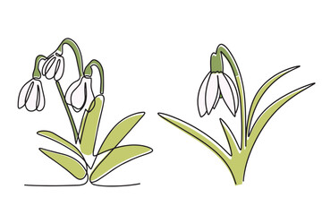Snowdrop, spring flower, with green leaves, hand drawn in one line. Delicate flower in doodle style on white background. Vecto