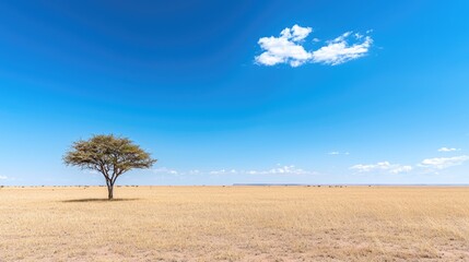 Fototapeta premium Lone acacia tree in African savanna under blue sky; wildlife in distance; travel poster
