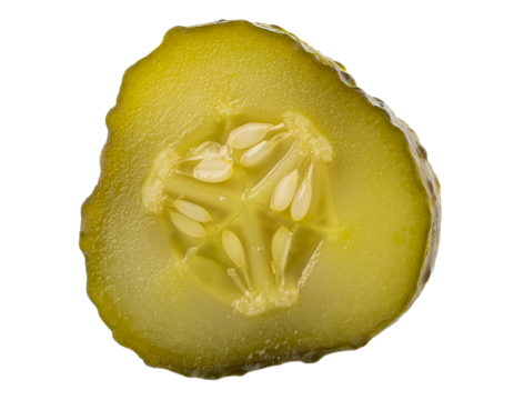 fresh pickled cucumber slice with brine texture and seeds, juicy fermented cucumber cut on isolated background
