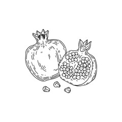 Pomegranate fruit whole and half drawn by hand isolated on white background.