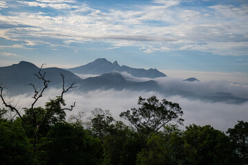 Scenic layered mountain with vibrant green foliage in the foreground transitioning to hazy blue peaks in the distance, capturing the beauty of the blue ridge mountains.