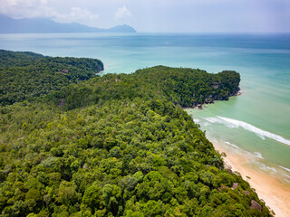 Thick tropical jungle and a shallow ocean (Borneo)