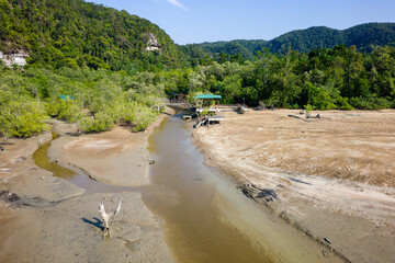 Coastal mangrove forest at low tide surrounded by thick, green tropical jungle