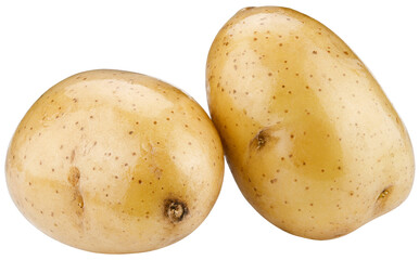 Two young potatoes isolated on a transparent background. Completely in focus. Focus stacking.