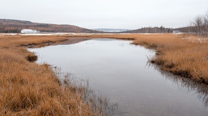 Calm stream flows through autumnal marsh, distant buildings, overcast sky; nature scene
