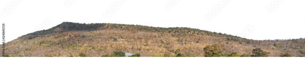 Aufkleber Rocky hill with summer forest isolated on transparent background with clipping path and alpha channel..