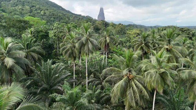Sao Tome and Principe - Aerial View of Pico Cao Grande. Iconic Volcanic Needle Rising Above Lush Tropical Rainforest. View From Praia Grande. 