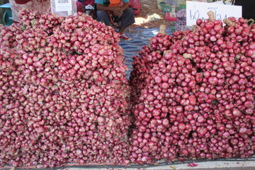 Agriculture is the practice of cultivating soil, growing crops, and raising livestock to produce food, fiber, medicinal plants, and other products essential for human survival and economic development