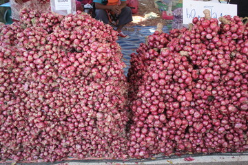 Agriculture is the practice of cultivating soil, growing crops, and raising livestock to produce...
