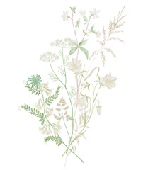 Watercolor Illustration of Bouquet on the White Background. Wild Flowers