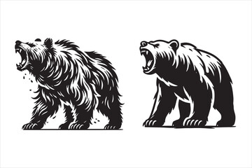 illustration of a bear. Roaring Bears A Comparison of Fur Textures .