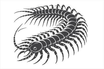 Detailed Black and White Centipede Illustration in A Stylized Design

