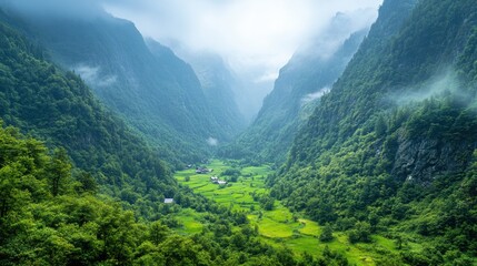 Obraz premium Lush Green Valley Surrounded by Majestic Mountains and Mist