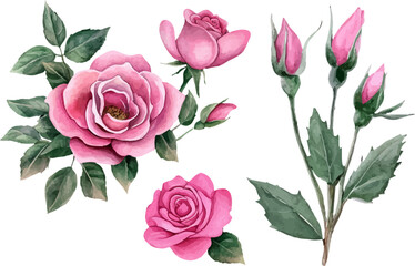 bouquet of pink roses