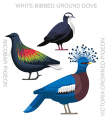 Bird Crown Pigeon Dove New Guinea Set Cute Cartoon Vector