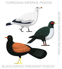 Bird Pheasant Pigeon Imperial Mountain Dove New Guinea Set Cute Cartoon Vector