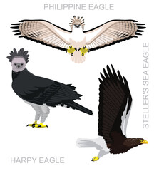 Bird Eagle Harpy Philippine Set Cartoon Vector