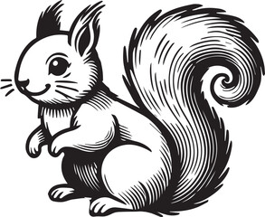 Squirrel vector in black and white