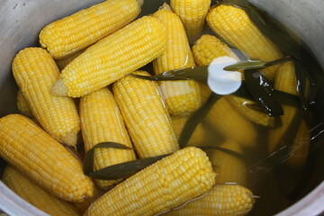 Agriculture is the practice of cultivating soil, growing crops, and raising livestock to produce...