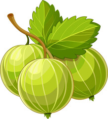 Three green gooseberries with leaves, illustrated in a vibrant, cartoonish style.