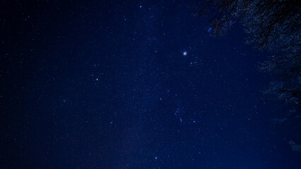 Starry Sky Above Frosty Trees
A stunning starry sky illuminating frost-covered trees in Khuvsgul, Mongolia, showcasing the harmony of cosmic and terrestrial beauty.
